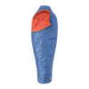 Cornflower
